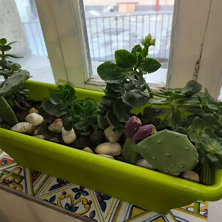 Apartment Mare E Lapilli *